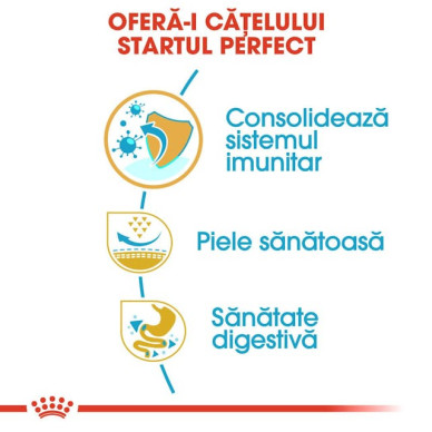 Royal Canin Pug Puppy – Hrană Uscată pentru Căței din Rasa Pug, 1,5 kg